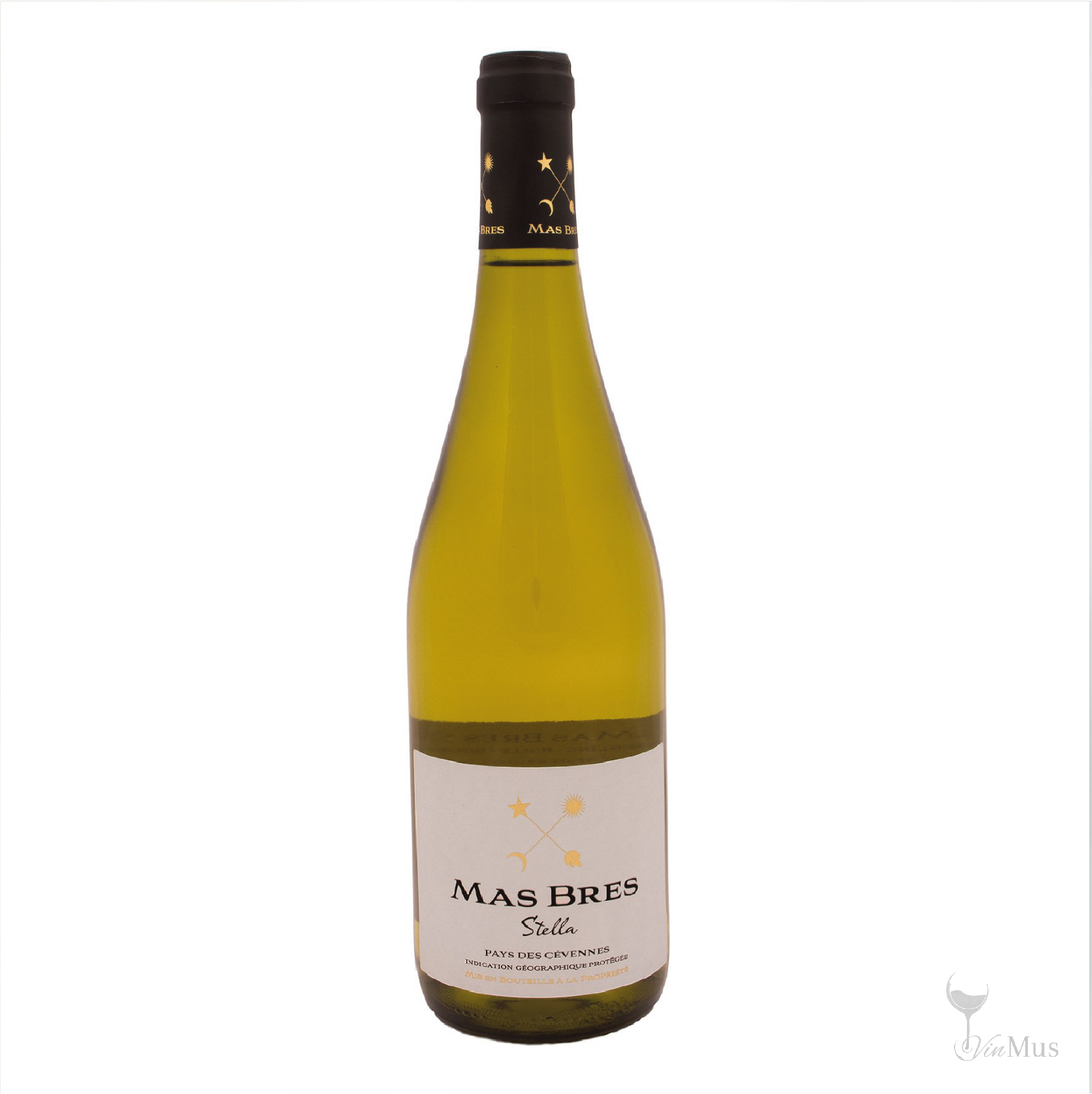 Stella Mas Brès BIO